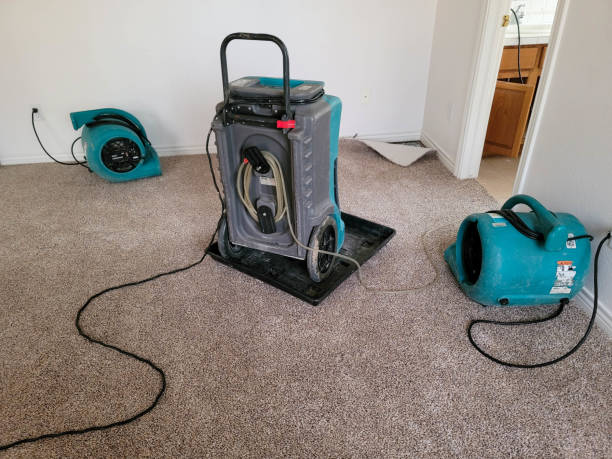 Best Carpet water damage restoration  in Wheat Ridge, CO