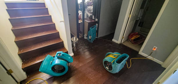 Sewage cleanup and water damage restoration in Wheat Ridge, CO