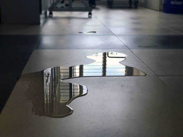 Best 24-hour water damage restoration  in Wheat Ridge, CO