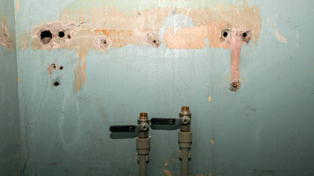 Best Ceiling water damage repair  in Wheat Ridge, CO