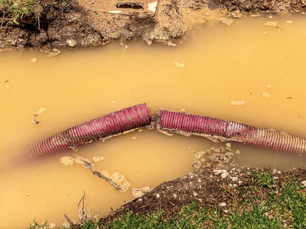 Water damage restoration experts in Wheat Ridge, CO